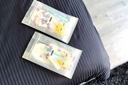 کلبه سوئیسی استخردار دوخواب گل مریم  در بندر انزلی