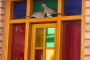 اتاق سه نفره با سرویس فرنگی در هتل تهران