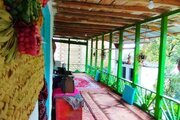 کلبه دوطبقه جنگلی پارسا در تالش