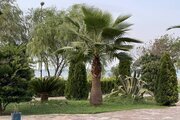 ویلا مبله استخردار چهارخواب در محمودآباد