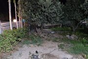 سوئیت مبله عمو ایرج در رودبار