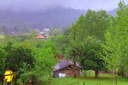 کلبه جنگلی  تکخواب مجنون در فومن
