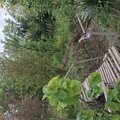 کلبه چوبی دوخواب دادرس در ماسال