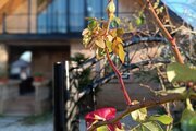 باغ ویلا سه خواب مبله استخردار در رشت