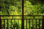 کلبه جنگلی دوبلکس تکخواب سرچشمه در رامسر