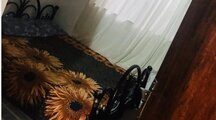ویلا سه خواب پرستار در بندرانزلی