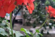 واحد تکخواب سنتی در اقامتگاه بومگردی شیرگاه