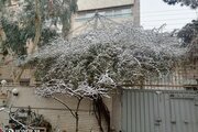 آپارتمان مبله دو خواب در اصفهان