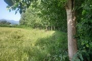 ویلای شادپور در ماسال