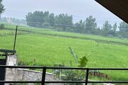 کلبه سوئیسی جکوزی دار دوخواب در سوادکوه