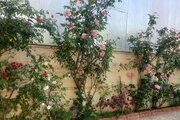 ویلا دوبلکس دوخواب بوستان 9 در محمودآباد