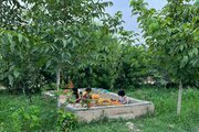 سوئیت ویلا سنتی در گرگان