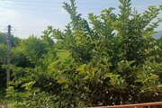 سوئیت ویلا مبله دو طبقه در ماسال
