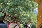 کلبه سوئیسی تکخواب جکوزی دار آیهان در ماسال | تراس جلوی کلبه
