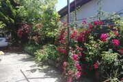 خانه ویلایی تکخواب مبله در عباس آباد