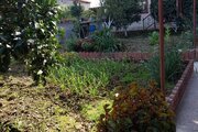 واحد در طبقه همکف ویلای مروارید محمودآباد
