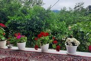 واحد دوخواب در طبقه اول ویلای ماسال