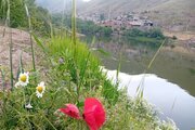 ویلا مبله تکخواب آزاد در سنندج