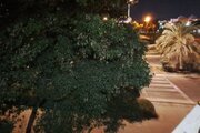 آپارتمان مبله دوخواب در کیش