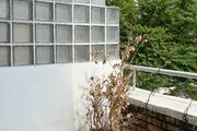 واحد 35 متری دبل (2) در هتل در وصال شیرازی