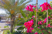 اتاق باغ 2 در بومگردی قشم