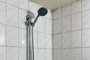 آپارتمان تک خواب مبله واحد 8 در تهرانپارس