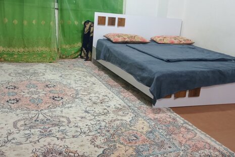 سوئیت مبله نخل 1 در قشم