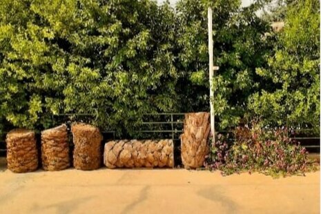 اتاق صدف اقامتگاه بومگردی در بوشهر