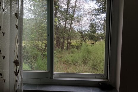 سوئیت ویلا مبله دنج در ماسال