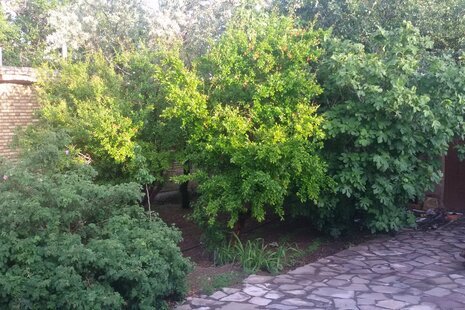 اتاق 5 نفره در اقامتگاه بومگردی روستای فرومد شاهرود