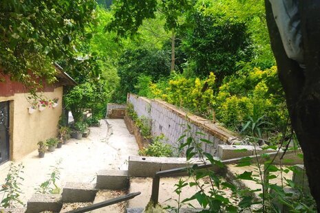 ویلا جنگلی دو خواب شمشاد در اربه کله