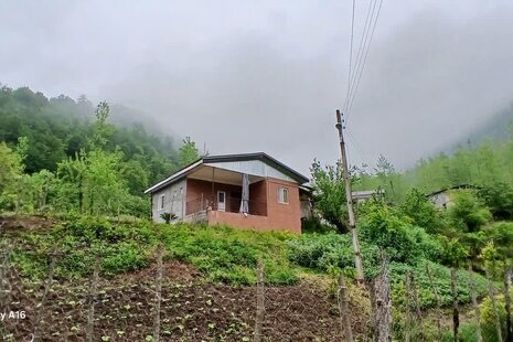 ویلا تکخواب جنگلی آریا در شیرگاه