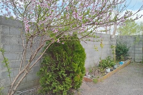 ویلا مبله تکخواب عسل در خمام