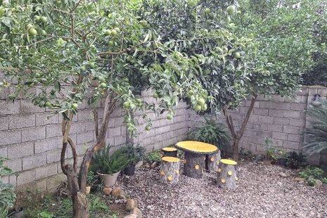 آپارتمان مبله دوخواب در شیرود