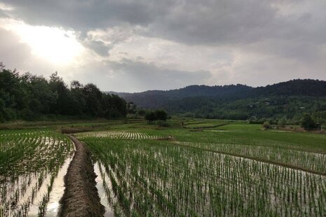 سوئیت مبله 45 متری در شفت