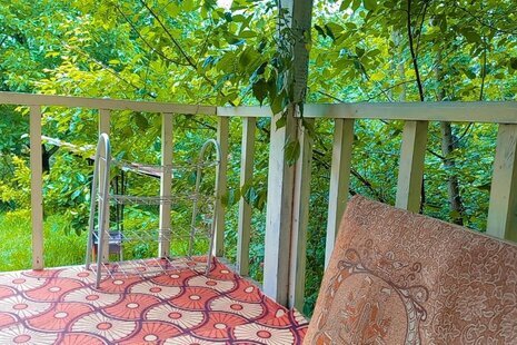 کلبه جنگلی 1 شیروان در ماسال