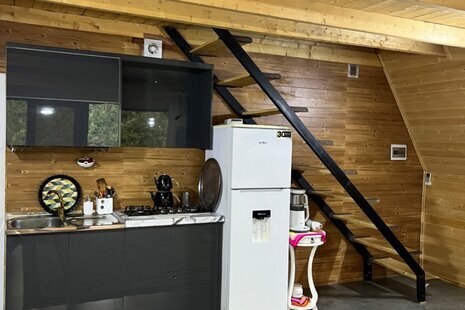 کلبه سوئیسی دوبلکس دوخواب جکوزی دار پناه در شیرگاه