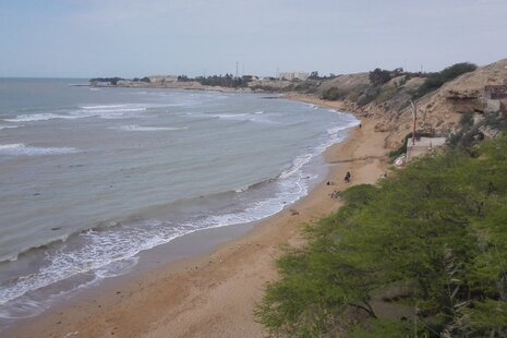 سویت 30 متری در بوشهر