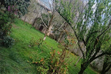 ویلا مبله دوخواب خالکایی در ماسال