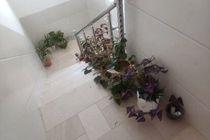 آپارتمان مبله تکخواب ثنا بانو در یزد