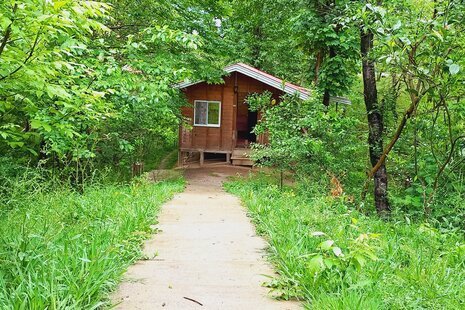 کلبه جنگلی 3 شیروان در ماسال