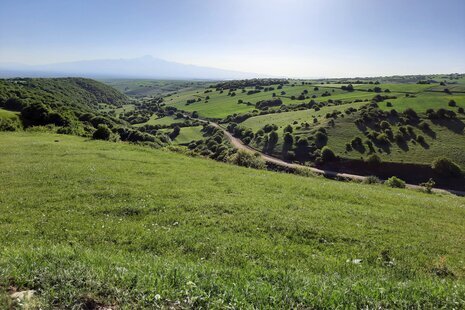 ویلا مبله تک خواب در نمین