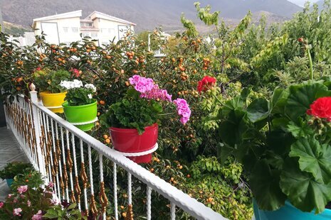 واحد دوخواب در ویلا شایان در سی سخت