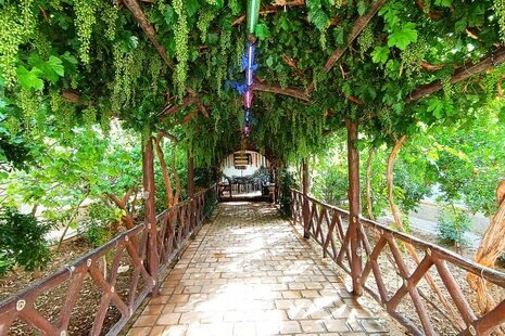باغ ویلا تکخواب دربست در فین کاشان