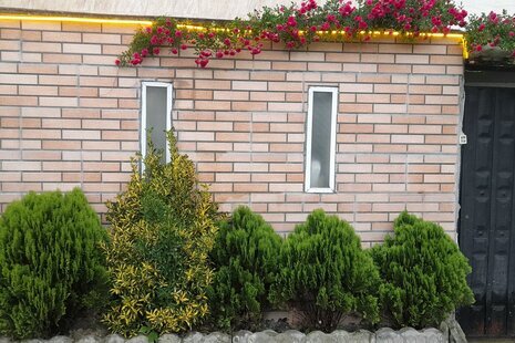 واحد تکخواب ماه و ستاره 2 در طبقه همکف ویلای تنکابن