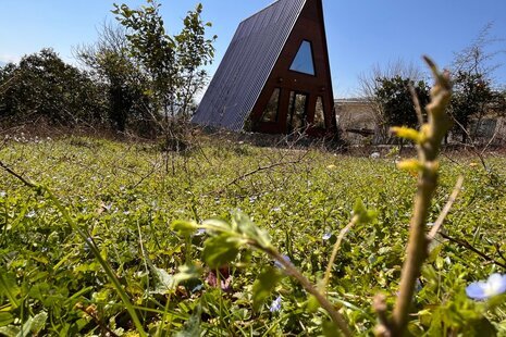 کلبه سوئیسی مبله دوبلکس جکوزی دار تک خواب در شیرگاه