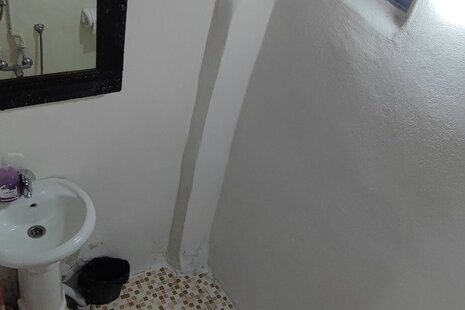 سوئیت جنگلی در لاویج