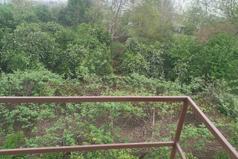 سوئیت طبقه دوم در چابکسر