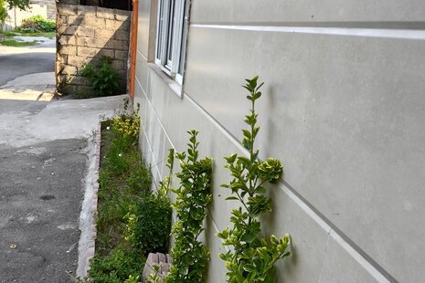 واحد دو خواب مبله در باغ ویلا در بندر انزلی