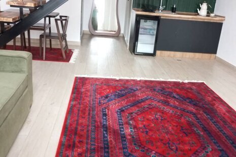کلبه سوئیسی دوبلکس مبله تکخواب در نمک آبرود